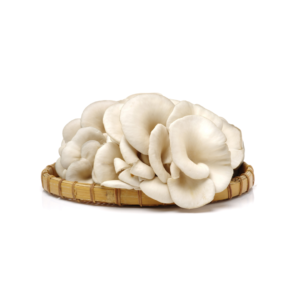 Jamur Tiram Putih Segar